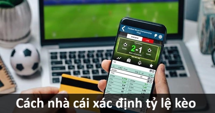Cách xác định tỷ lệ bóng Cách xác định tỷ lệ bóng