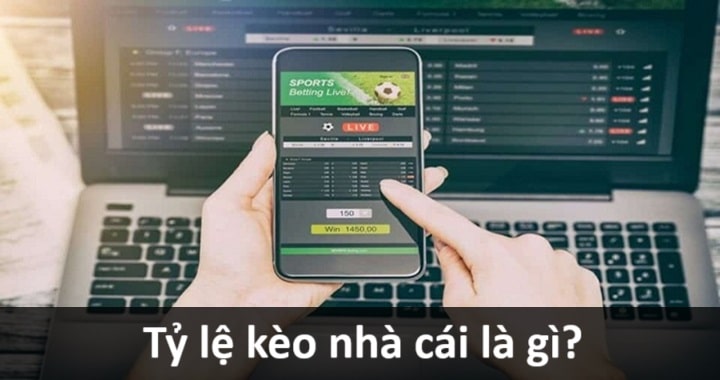 gamebai.co.com